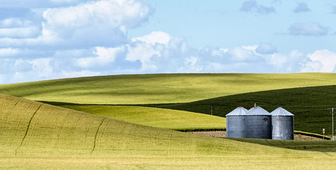Palouse