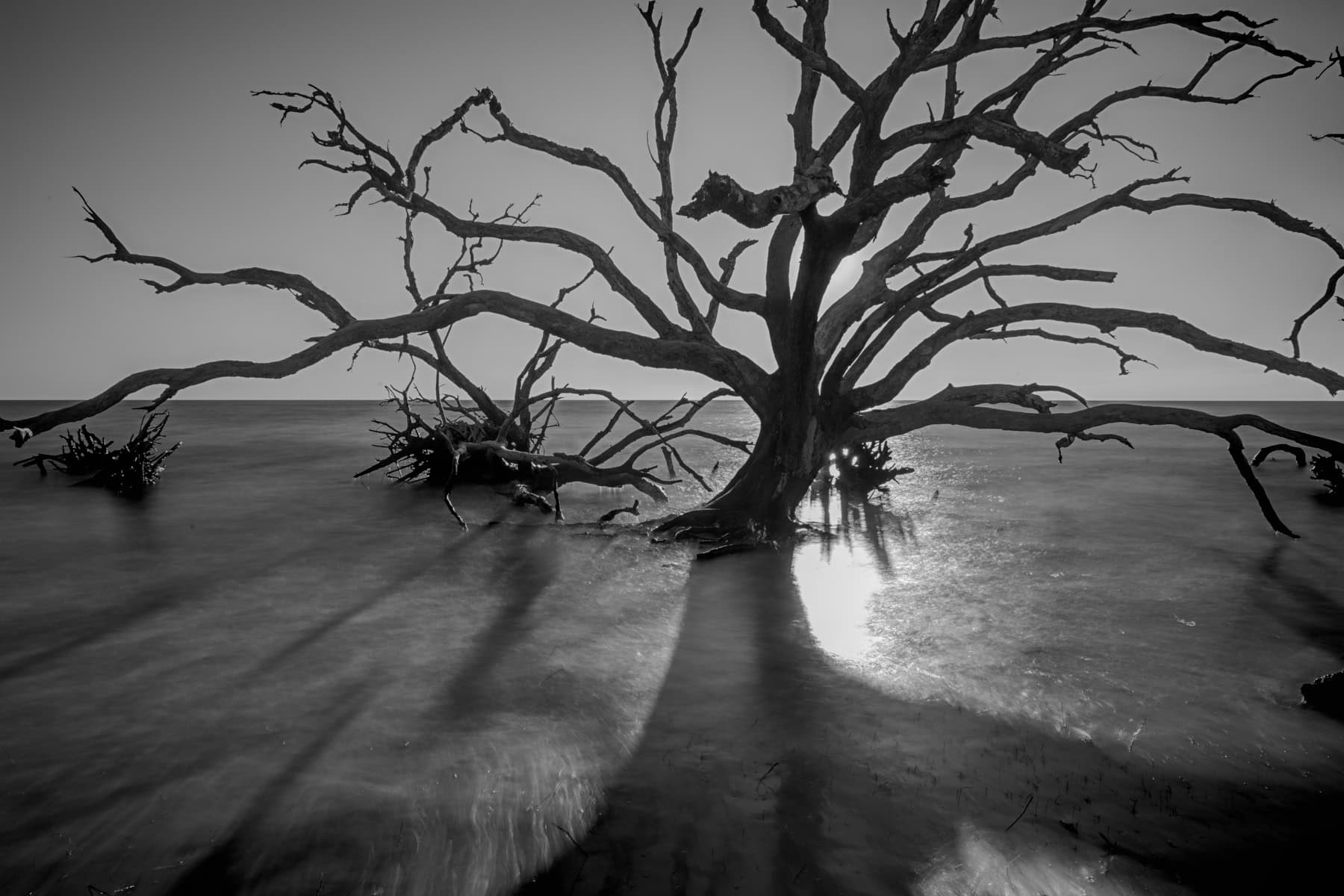 _JOE0174-Edit-2
